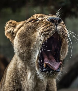 How To Use Basic Design Principles To Decorate Your Home